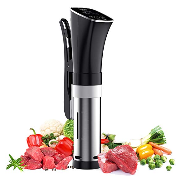 2. CISNO Sous Vide Cooker