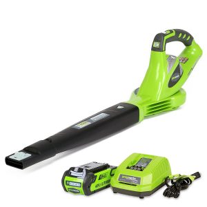  GreenWorks 24252 G MAX Cordless Blower 